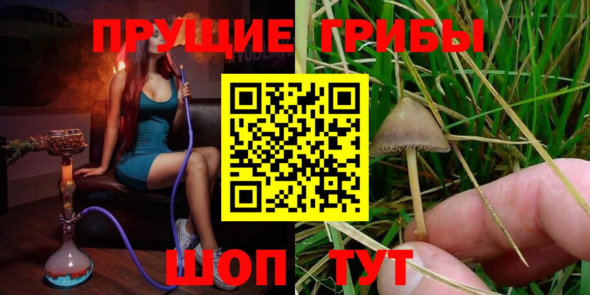 Псилоцибиновые грибы MAGIC MUSHROOMS  Псилоцибиновые грибы ЛСД  Мариинск  Вход с VPN 