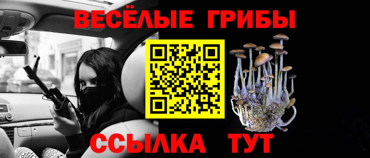 Псилоцибиновые грибы Psilocybe Мариинск